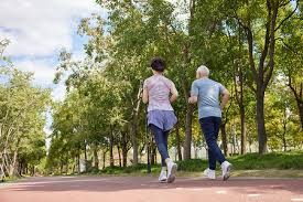 什么是“博弈中的道德风险”？解析假球、假赛对博彩生态的毁灭性打击。（透视博弈中的道德风险：假球与假赛如何摧毁博彩生态）