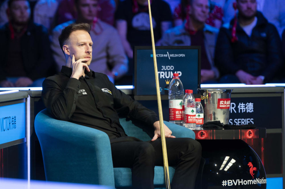 谊往往成为 谊往往成为