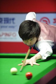 被罚款的案 被罚款的案